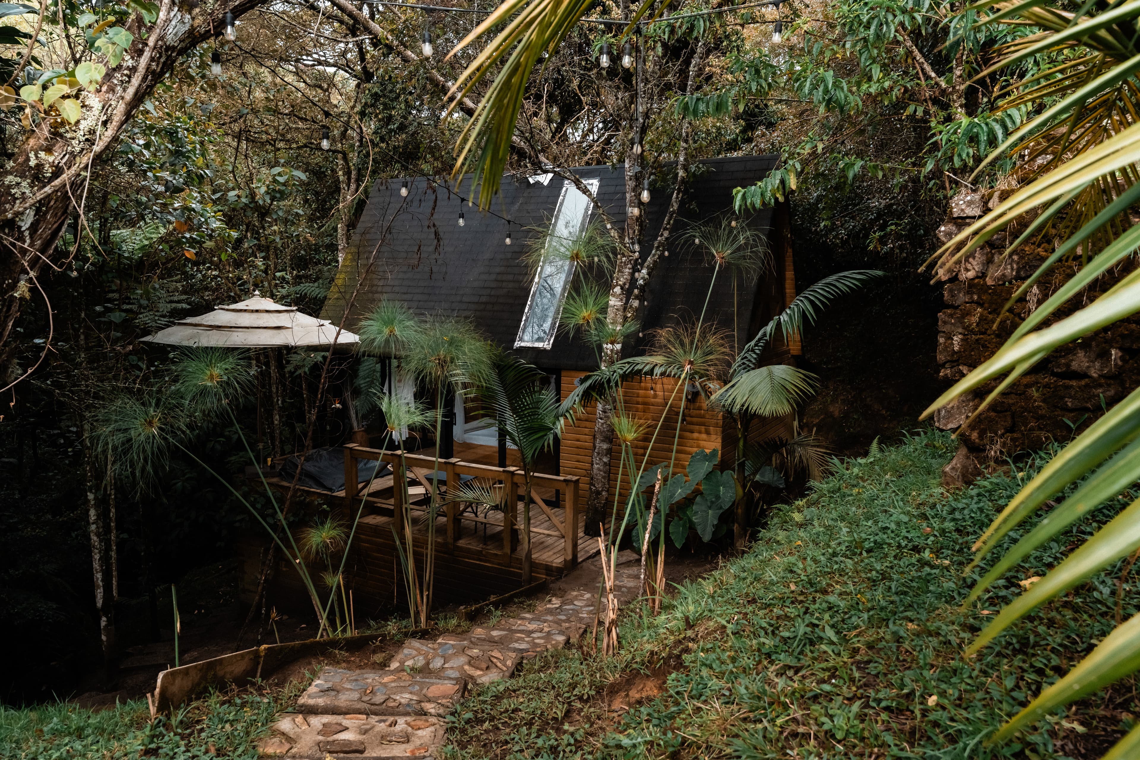 Refugio Onírico en el bosque